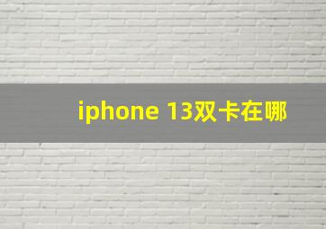 iphone 13双卡在哪